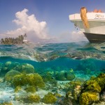 Coral Reefs of South Water Caye, Belize 1