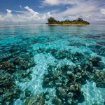 Coral Reefs of South Water Caye, Belize