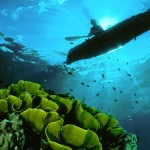 Solomon Islands