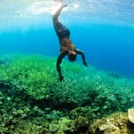 Solomon Islands1