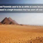 Surprising Facts 10