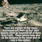 Surprising Facts 11