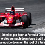 Surprising Facts 13