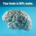 Surprising Facts 16