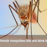Surprising Facts 17