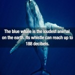 Surprising Facts 18
