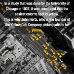 Surprising Facts 2