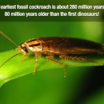 Surprising Facts 20