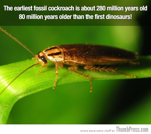 Surprising Facts 20