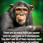 Surprising Facts 22
