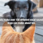 Surprising Facts 23