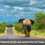 Surprising Facts 24