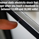 Surprising Facts 25