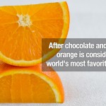 Surprising Facts 3