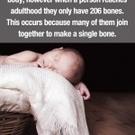 Surprising Facts 6
