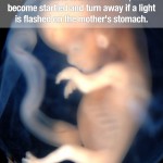 Surprising Facts 7