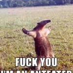 Anteater