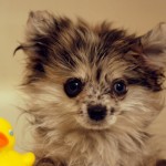 Bath time