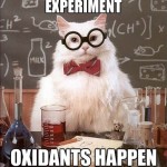 Chemistry Cat