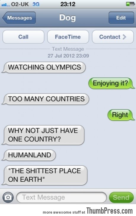 Dog Watching Olympics