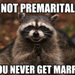 Evil Plotting Raccoon