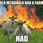Evil cows