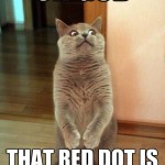 Horrorcat