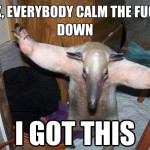 I got this