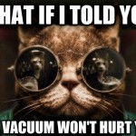 Morpheus Cat