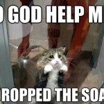 Shower kitty