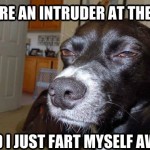 Skeptical Mutt