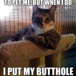 The Most Interesting Cat in the World