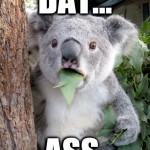 koala bear