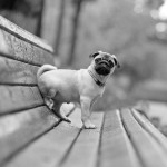 waiting