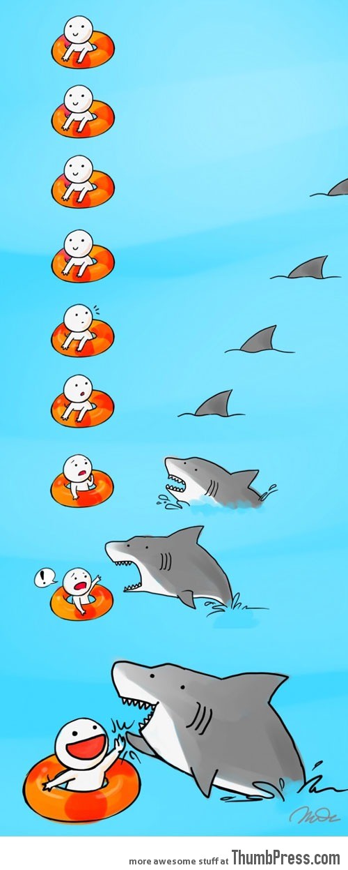 A shark attack