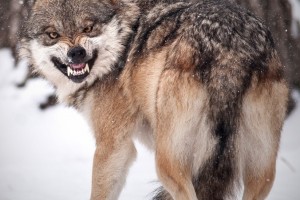 Cheeeese!!!