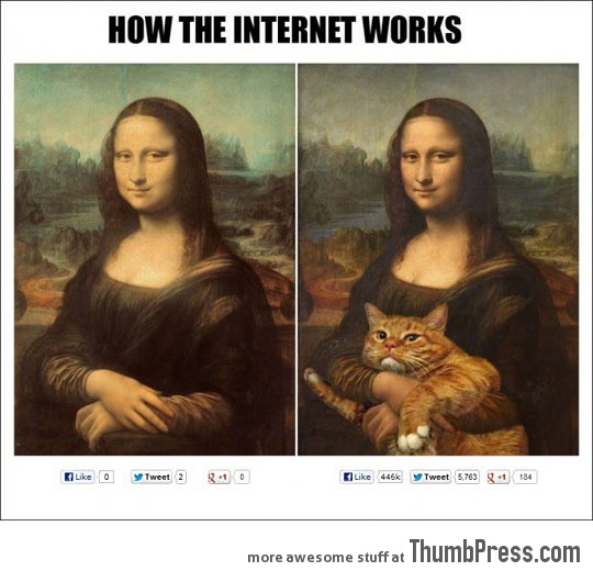 How the Internet really works…