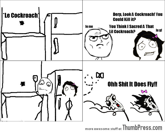 rage-comic-le-cockroach-hi-man-can-you-do-you-think-that-iam-scared-of-that-little-ah-sh-it-does-fly