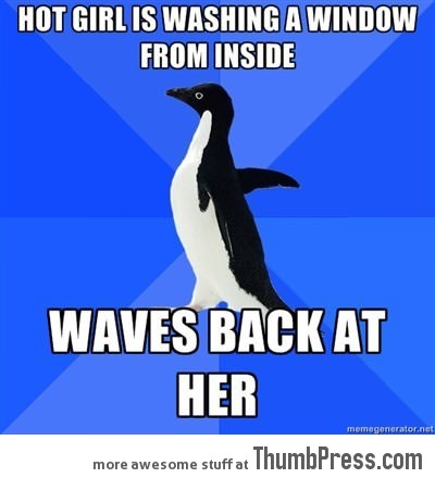 Socially awkward penguin strikes again