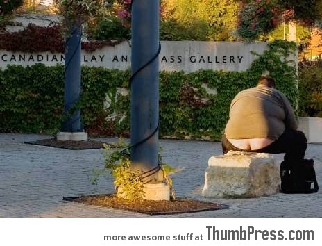 Ass Gallery