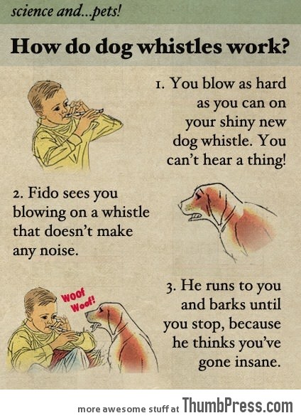 How do dog whistles work