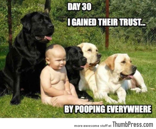 I gained their trust…