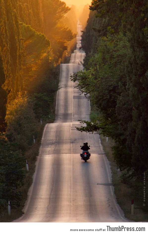 Riding on this road in Bolgheri (Italy) must be fun!