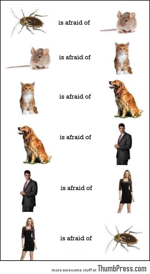 The circle of fear