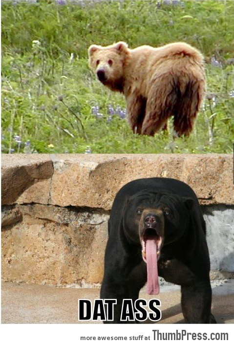 Can't bear it!