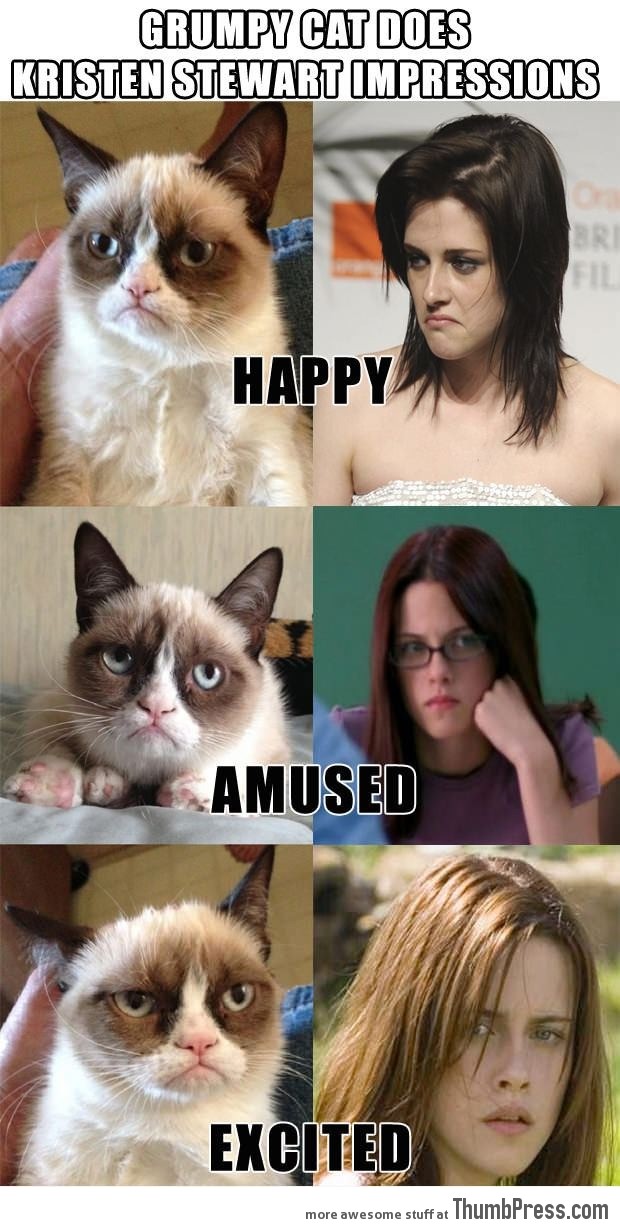 Grumpy Cat does Kristen Stewart impressions.