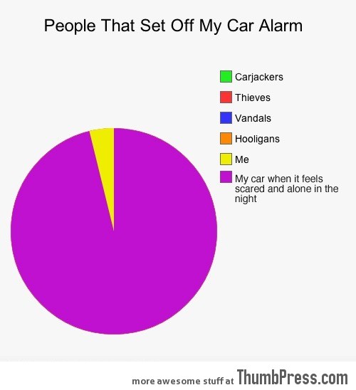 People that set off my car alarm.