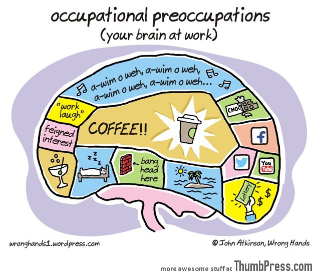 OCCUPATIONAL PREOCCUPATIONS.