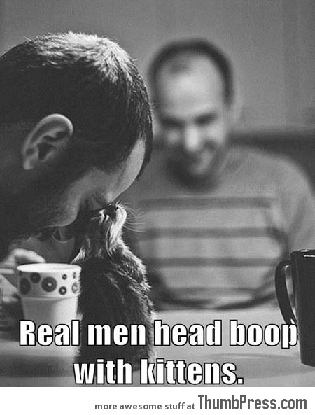REAL MEN HEAD BOOP WITH KITTENS.
