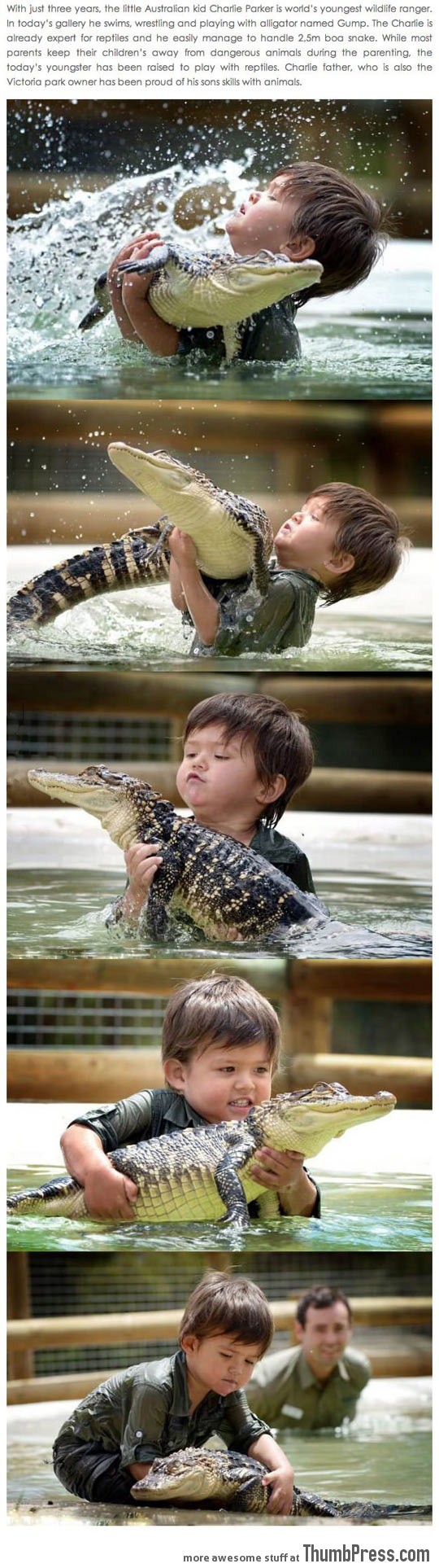 This generation needs a new Steve Irwin…